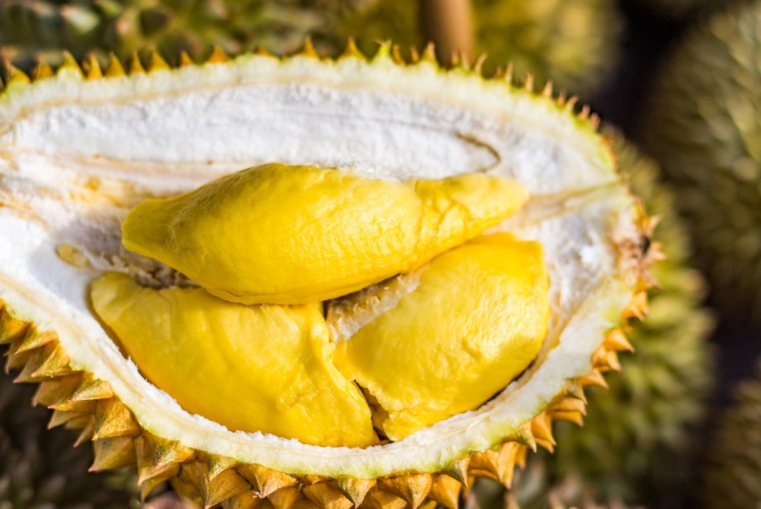8 Kebiasaan Buruk yang Nyusahin Teman Sekantor - Makan Makanan Yang Berbau Menyengat